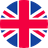 Current language flag